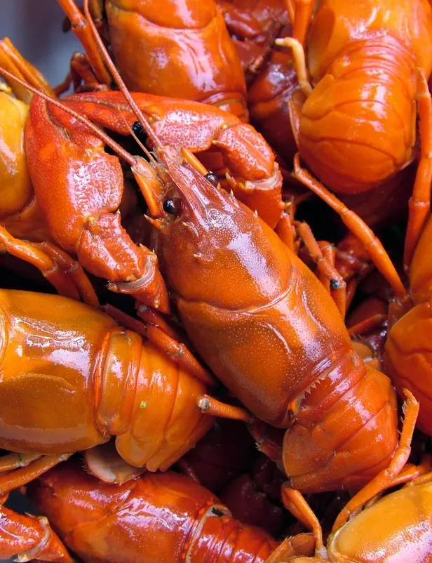 crab monster