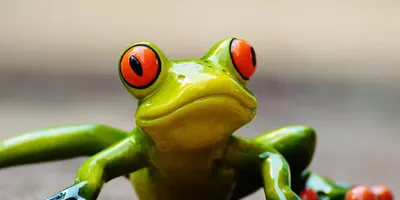childhood drawing of frog ninja