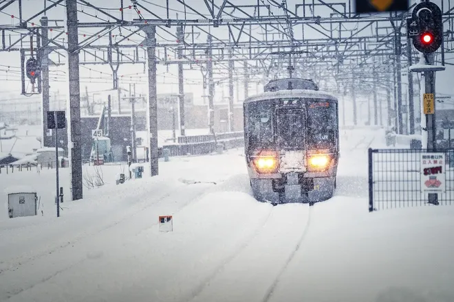 white connotation snow horse running