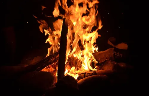 D&D burned forest