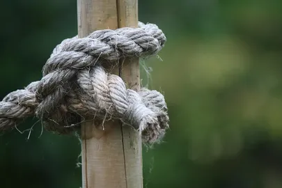 Mess of Ties in a Wooden Drawer