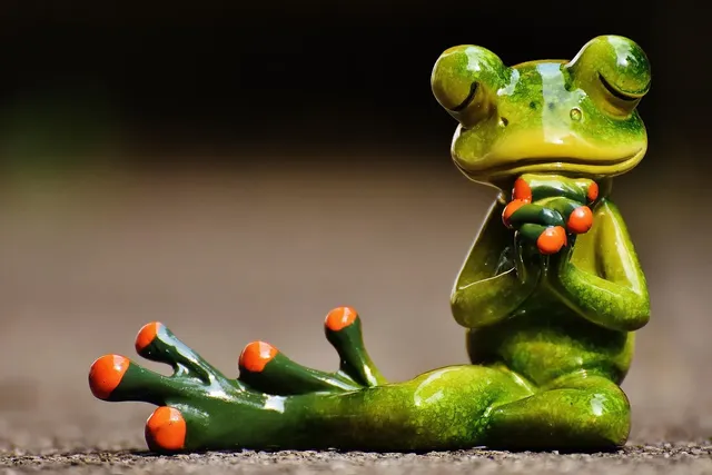 Frog ninja drawing